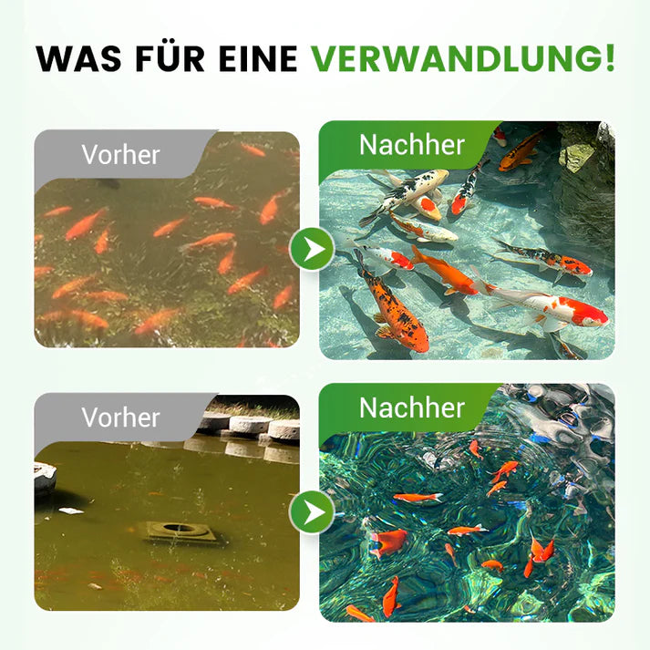 AquaVital Pro™ - Premium Teichpflege-Pulver Wasserklärer & Algenkontrolle