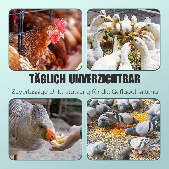 VitaPoultry™- Für Vitalität und gesundes Wachstum bei Geflügel