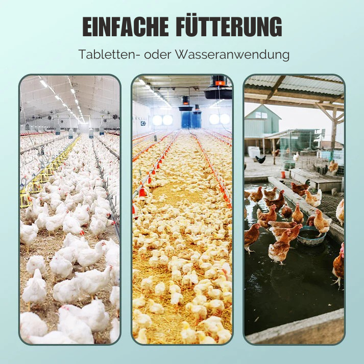 VitaPoultry™- Für Vitalität und gesundes Wachstum bei Geflügel