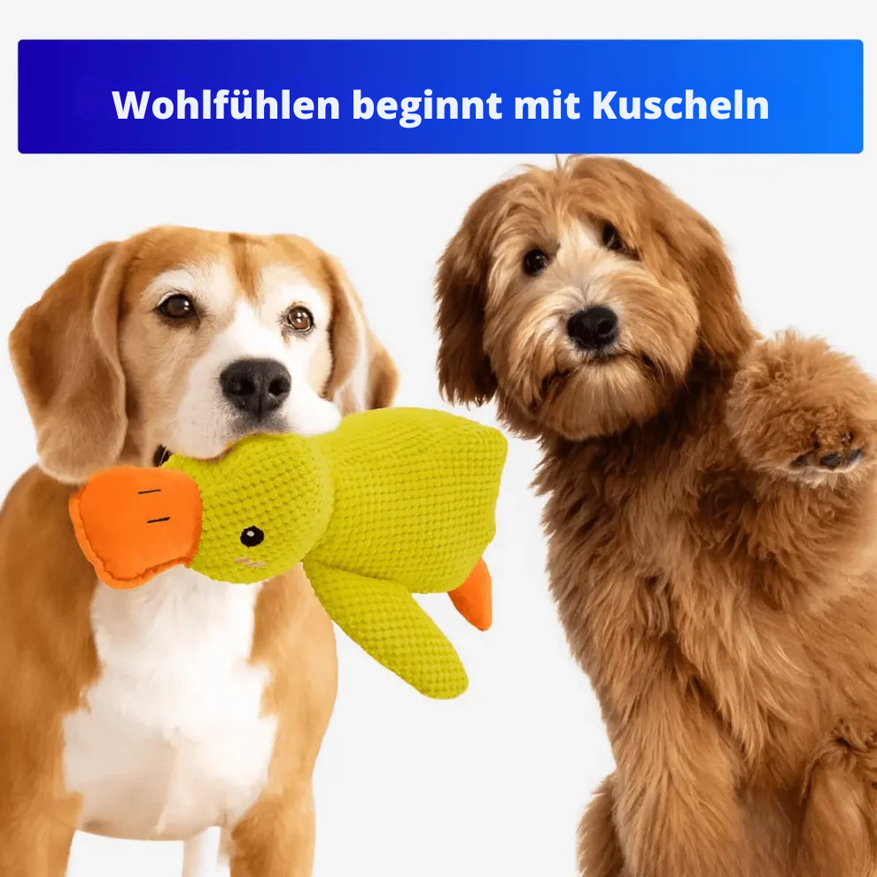 QuackBuddy™ – Anti-Stress-Kuscheltier für Hunde