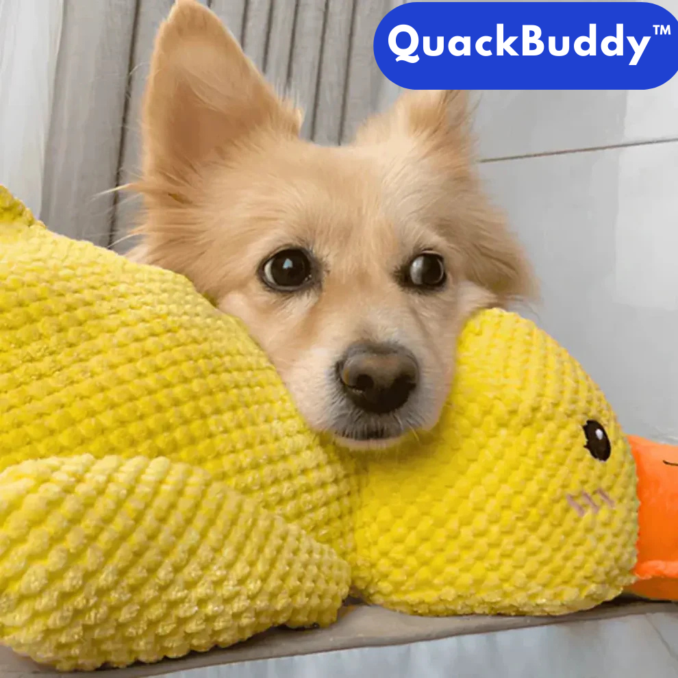 QuackBuddy™ – Anti-Stress-Kuscheltier für Hunde