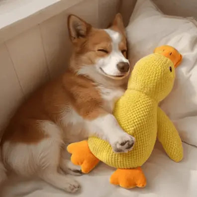QuackBuddy™ – Anti-Stress-Kuscheltier für Hunde