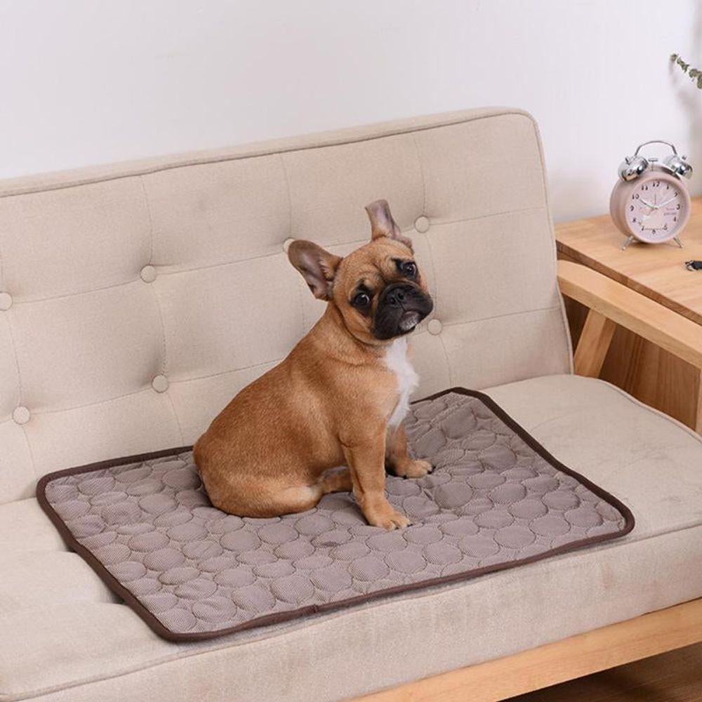 CoolPaws™ - Selbstkühlende Komfort-Matte für Haustiere