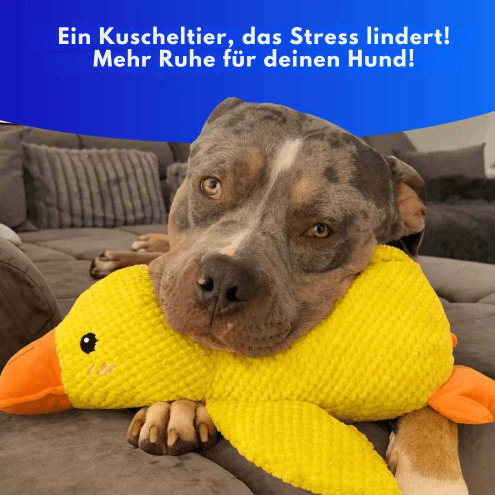 QuackBuddy™ – Anti-Stress-Kuscheltier für Hunde