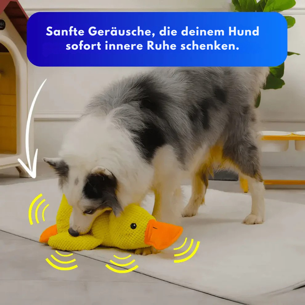 QuackBuddy™ – Anti-Stress-Kuscheltier für Hunde