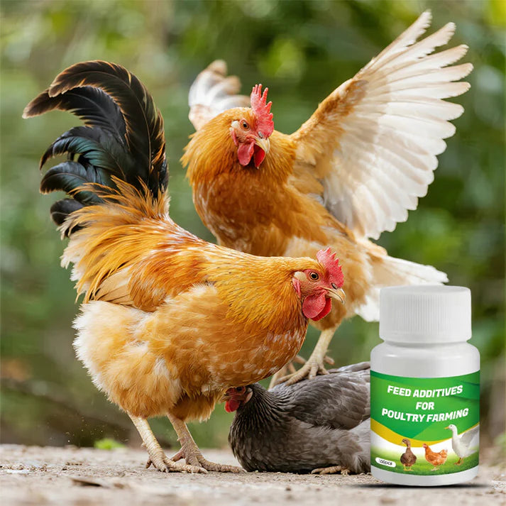 VitaPoultry™- Für Vitalität und gesundes Wachstum bei Geflügel