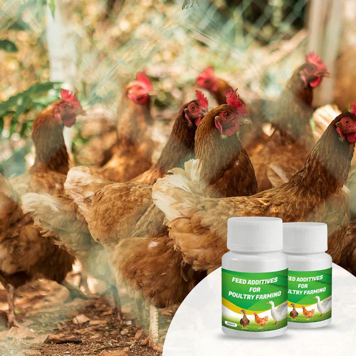 VitaPoultry™- Für Vitalität und gesundes Wachstum bei Geflügel